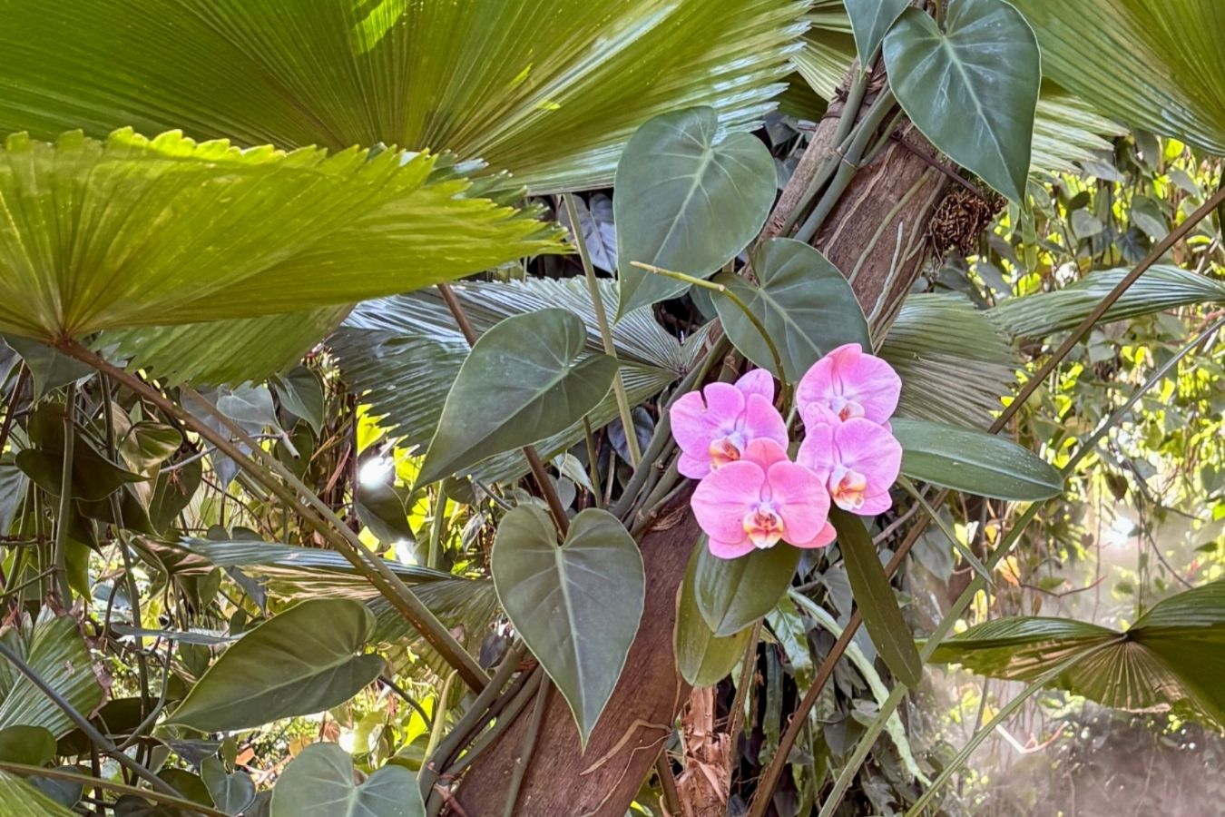 Feeling Stuck With Style? Try This Exercise 📷🌸 Feeling Stuck With Style? Try This Exercise 📷🌸